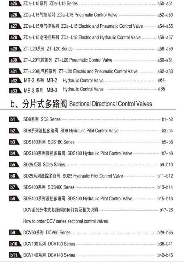2024 SAIVS Hydraulic Valve Sample PDF-2.webp