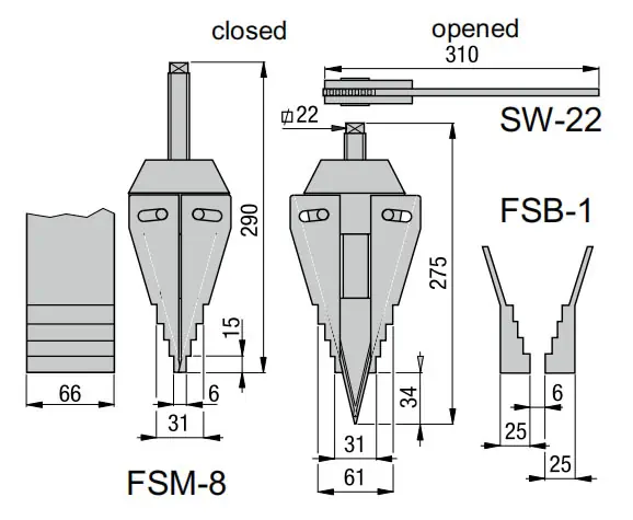 fsm2.webp